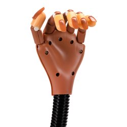 Nail Art Practice Hndtrning Manicure Negletips 95