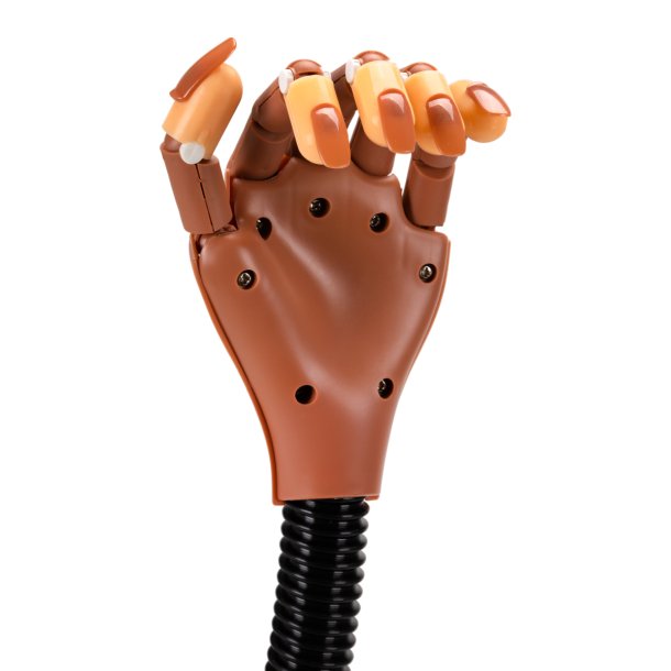 Nail Art Practice Hndtrning Manicure Negletips 95