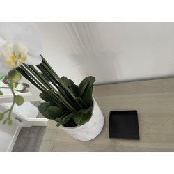 15 x 15 cm Firkantet bakke med bne hjrner